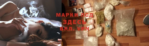 мяу мяу мука Абаза