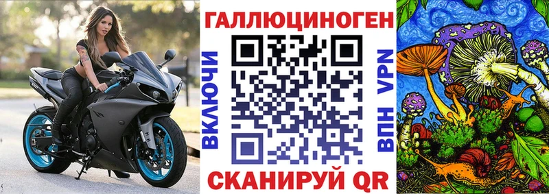 Галлюциногенные грибы Psilocybe  мега ссылка  Бугуруслан 